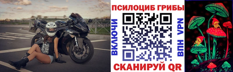 Псилоцибиновые грибы Psilocybe  Клин 